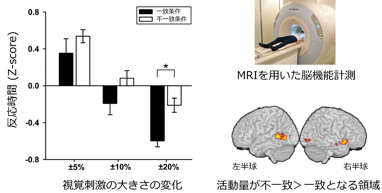 同志社大学 脳神経行動工学研究室 研究紹介