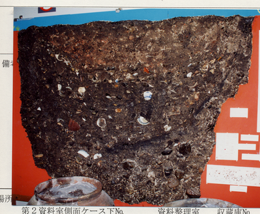 土坑断面剥ぎ取り