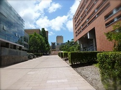 unsw1